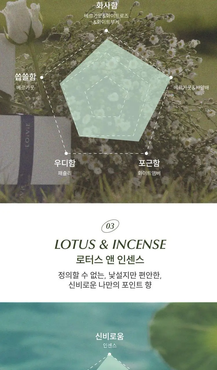 [단독기획/밀착향기보습] 로이비 퍼퓸드 핸드크림 30ml/50ml 기획/단품 택1 상세페이지 4